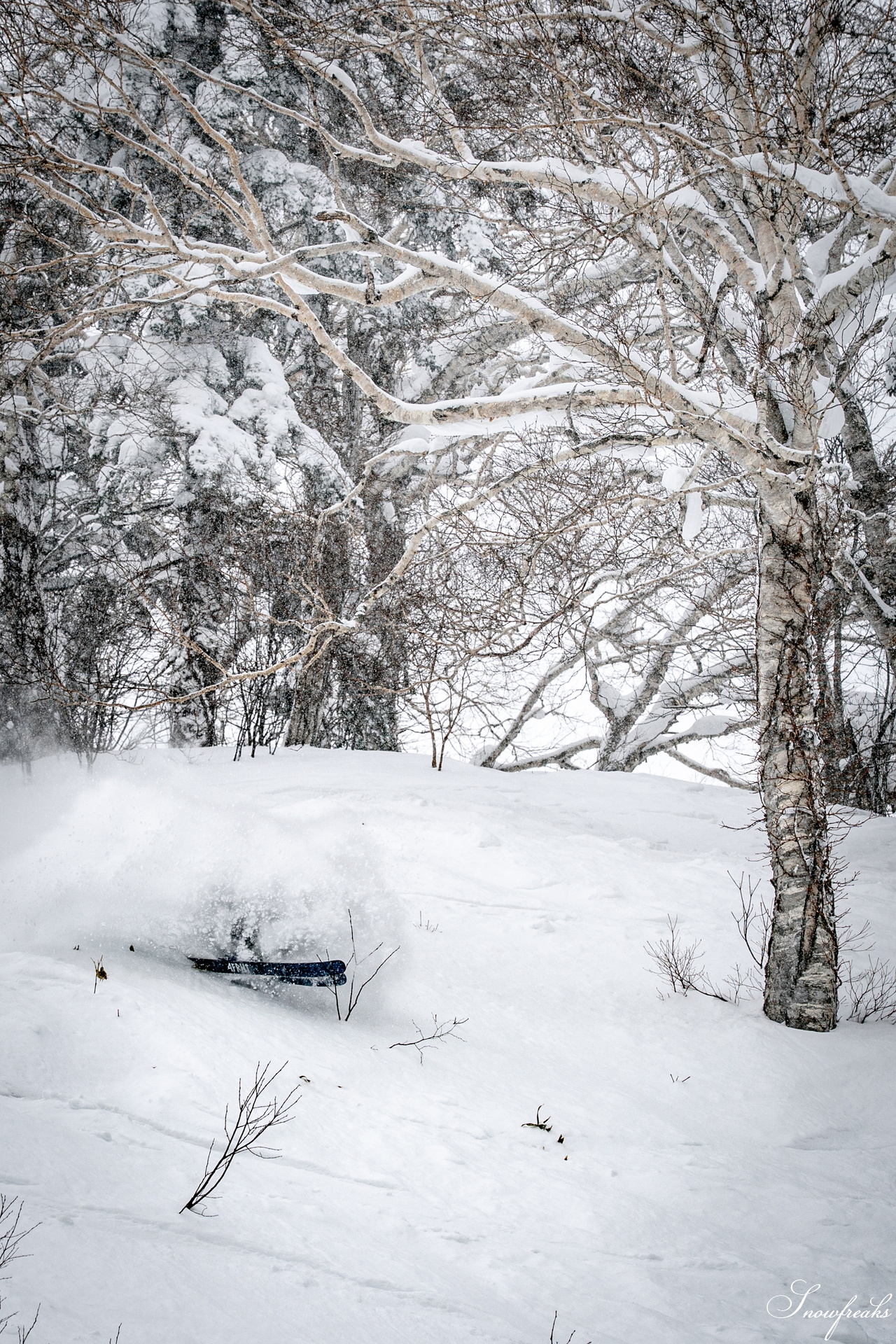 2026【4FRNT GUERRILLA RIDE EVENT】｜アメリカからやってきたゲストライダーたちが、サッポロテイネを滑る、飛ぶ！！